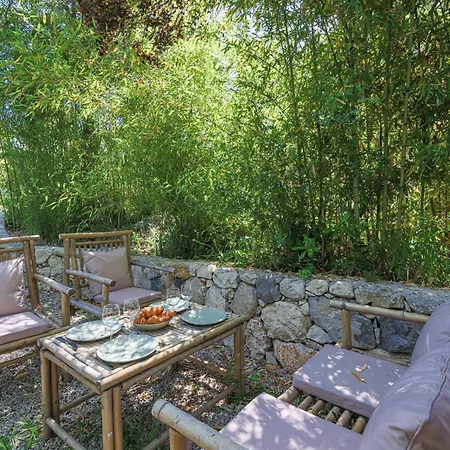 Home&trees - Terra * Cagnes-sur-Mer